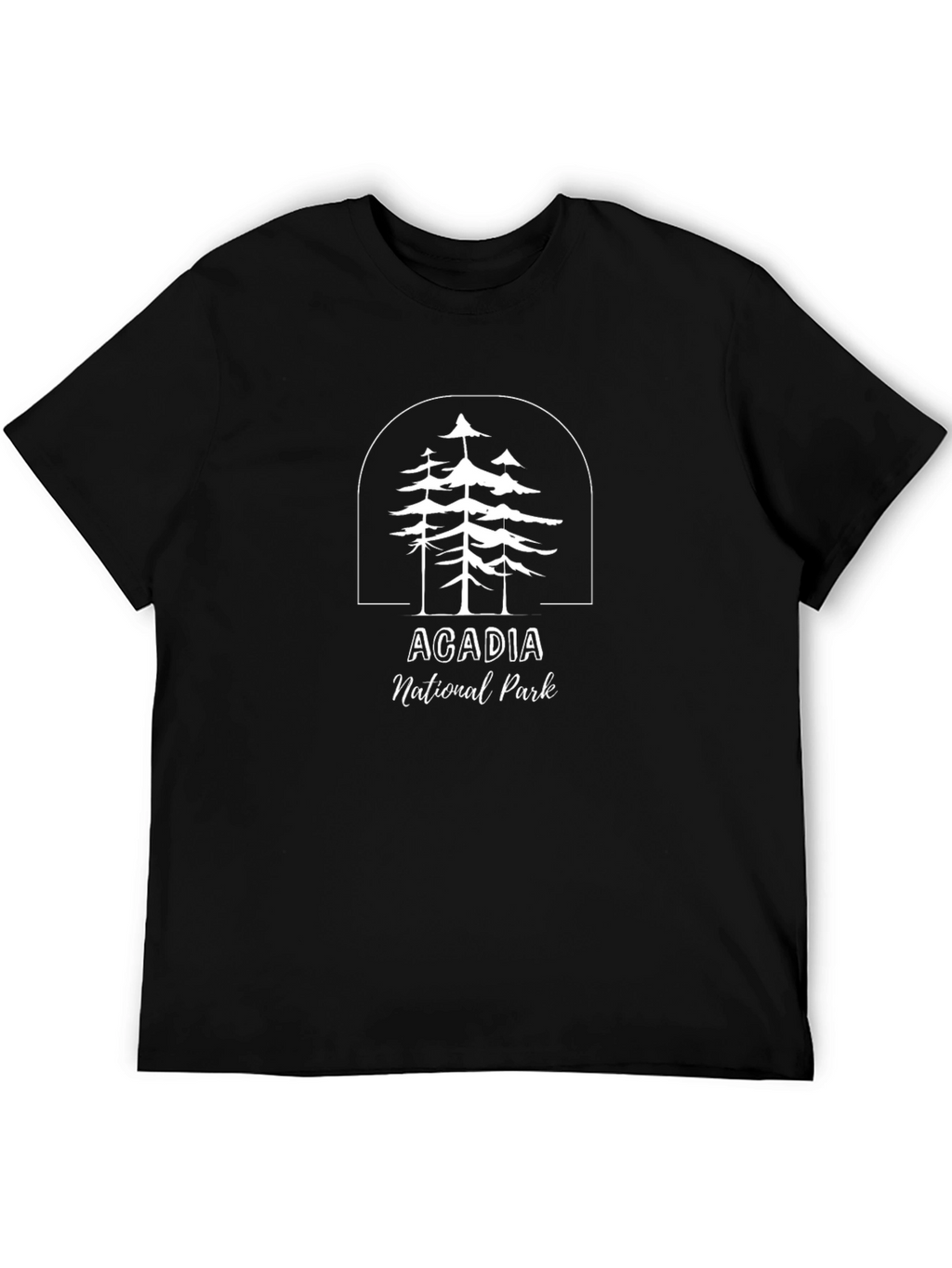 Acadia National Park Graphic T-Shirt