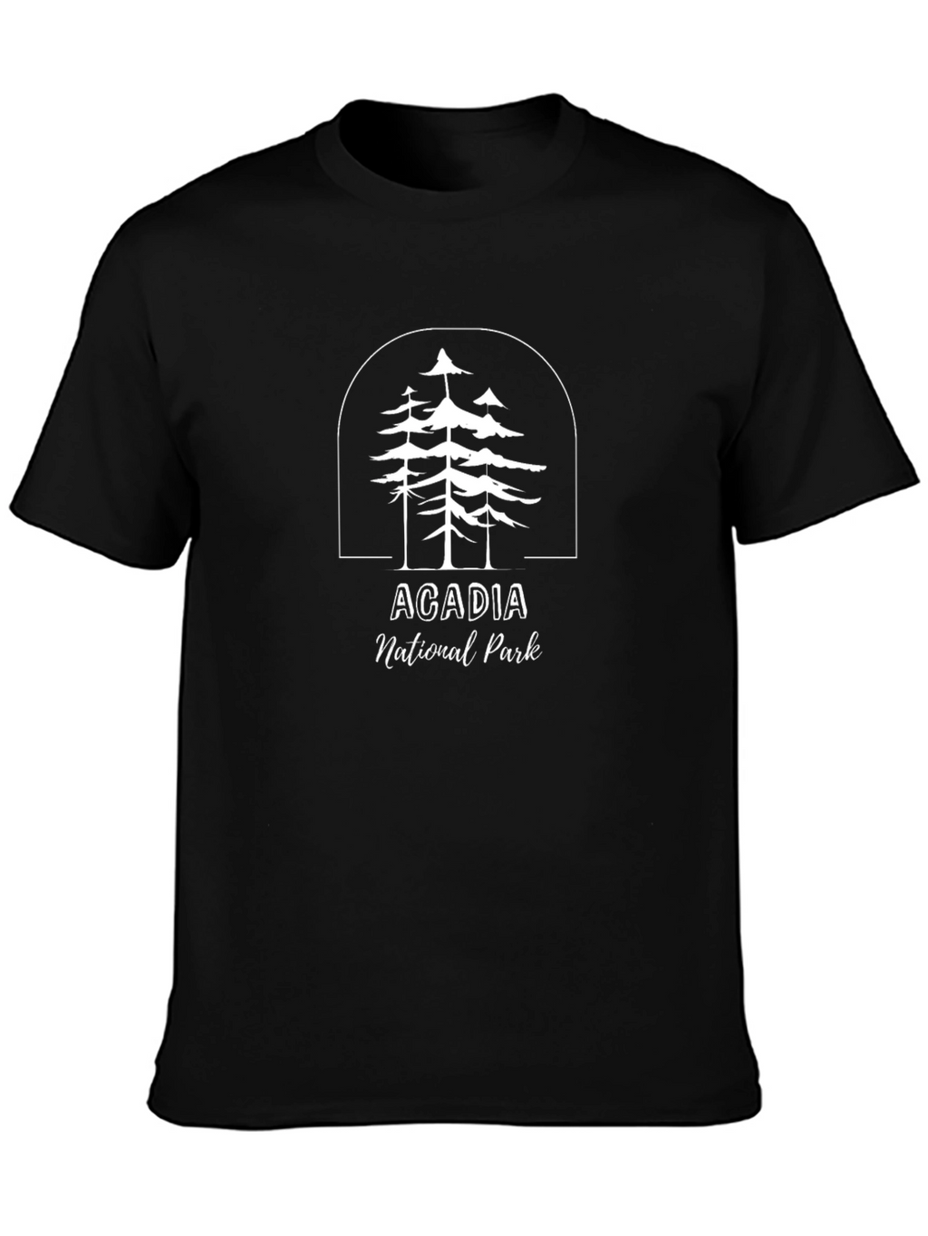 Acadia National Park Graphic T-Shirt