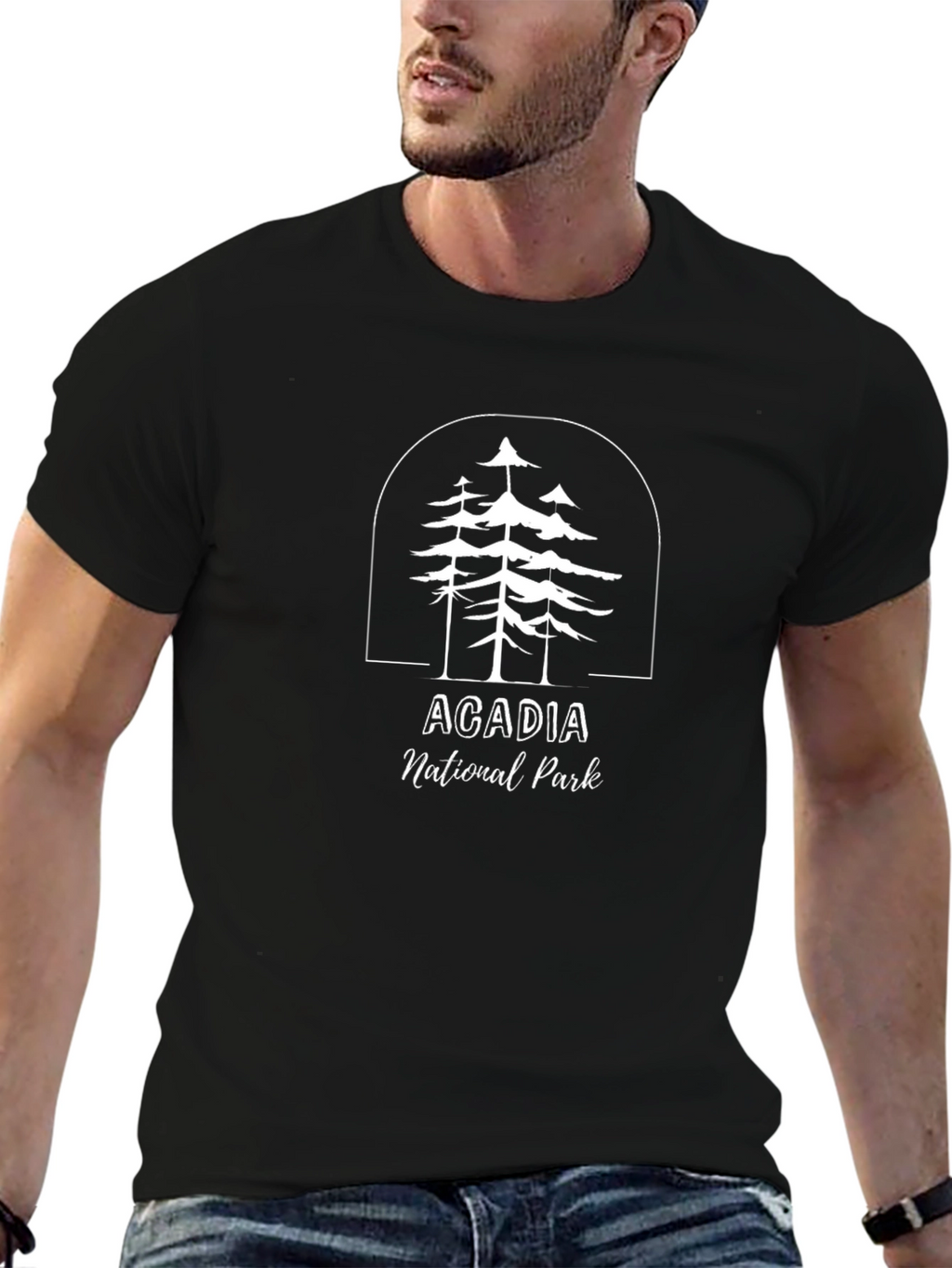 Acadia National Park Graphic T-Shirt