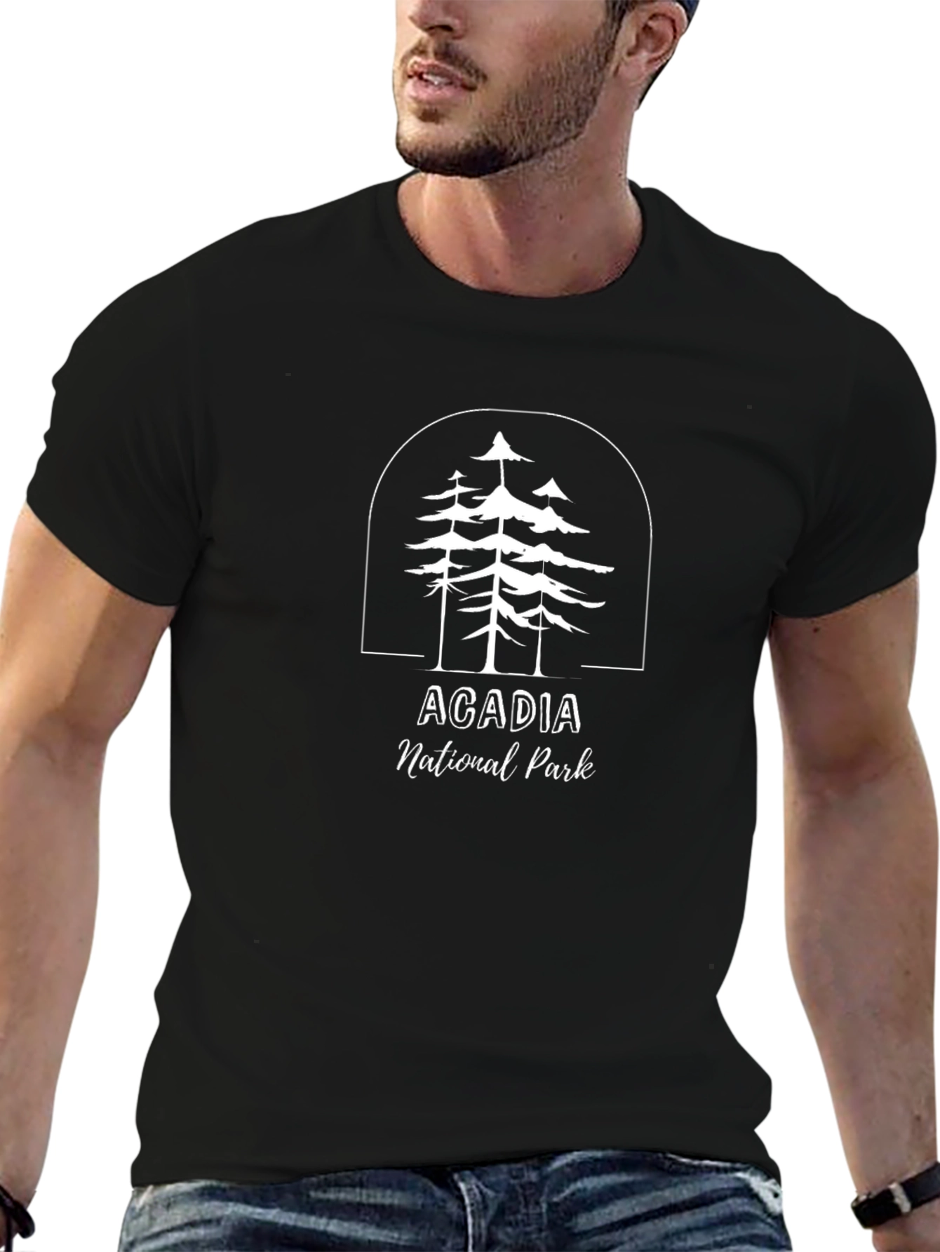 Acadia National Park Graphic T-Shirt