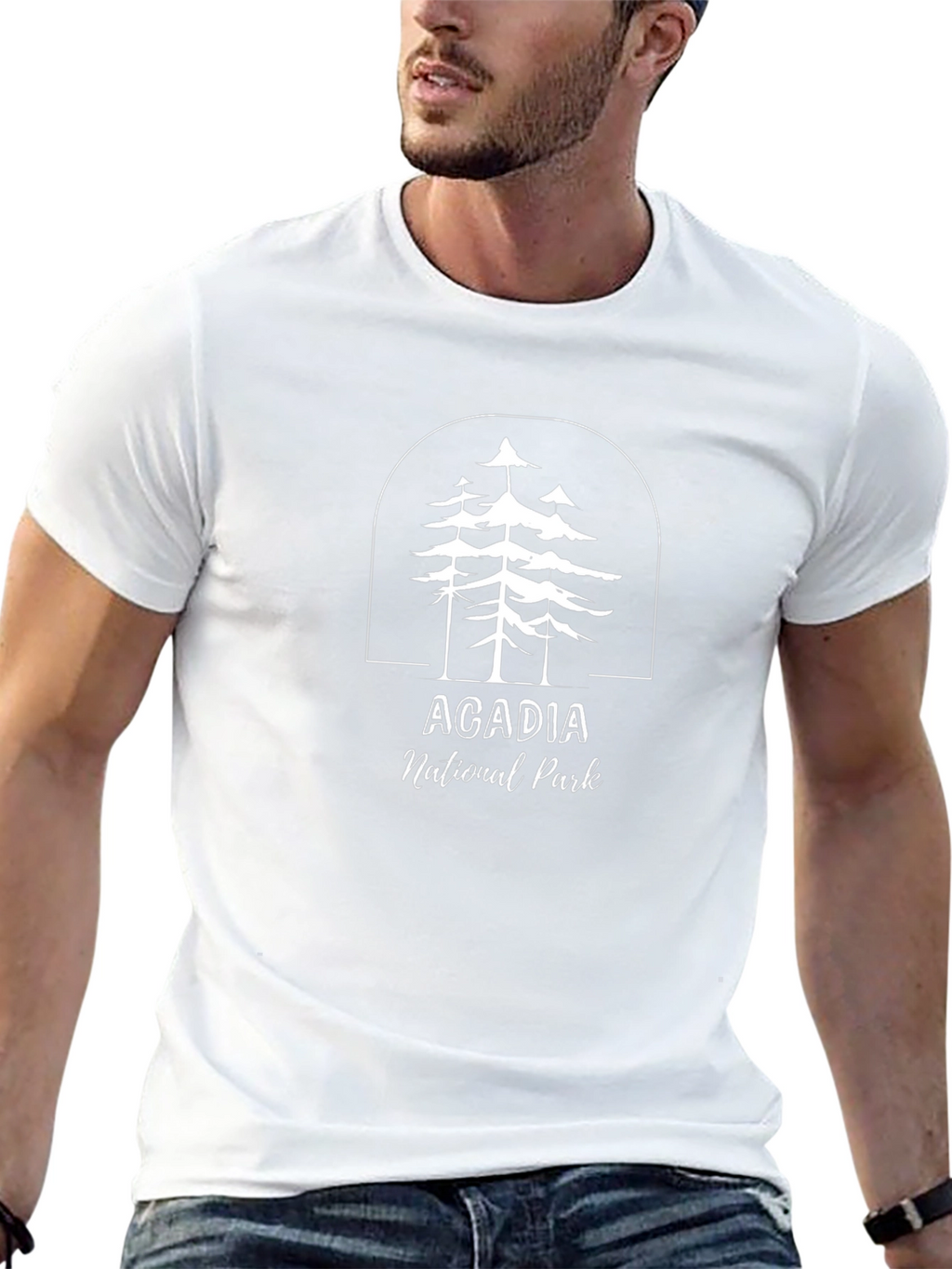 Acadia National Park Graphic T-Shirt
