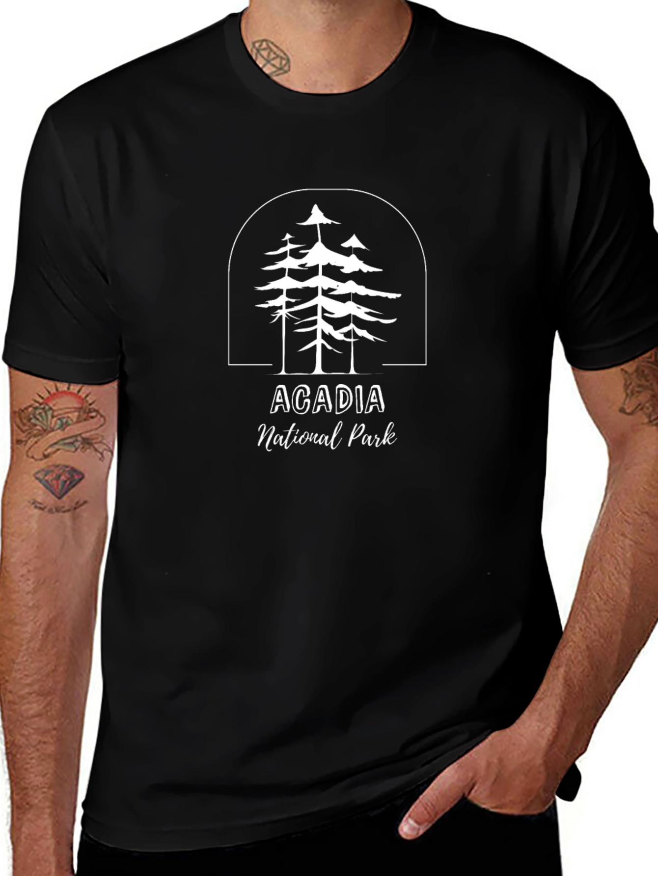 Acadia National Park Graphic T-Shirt