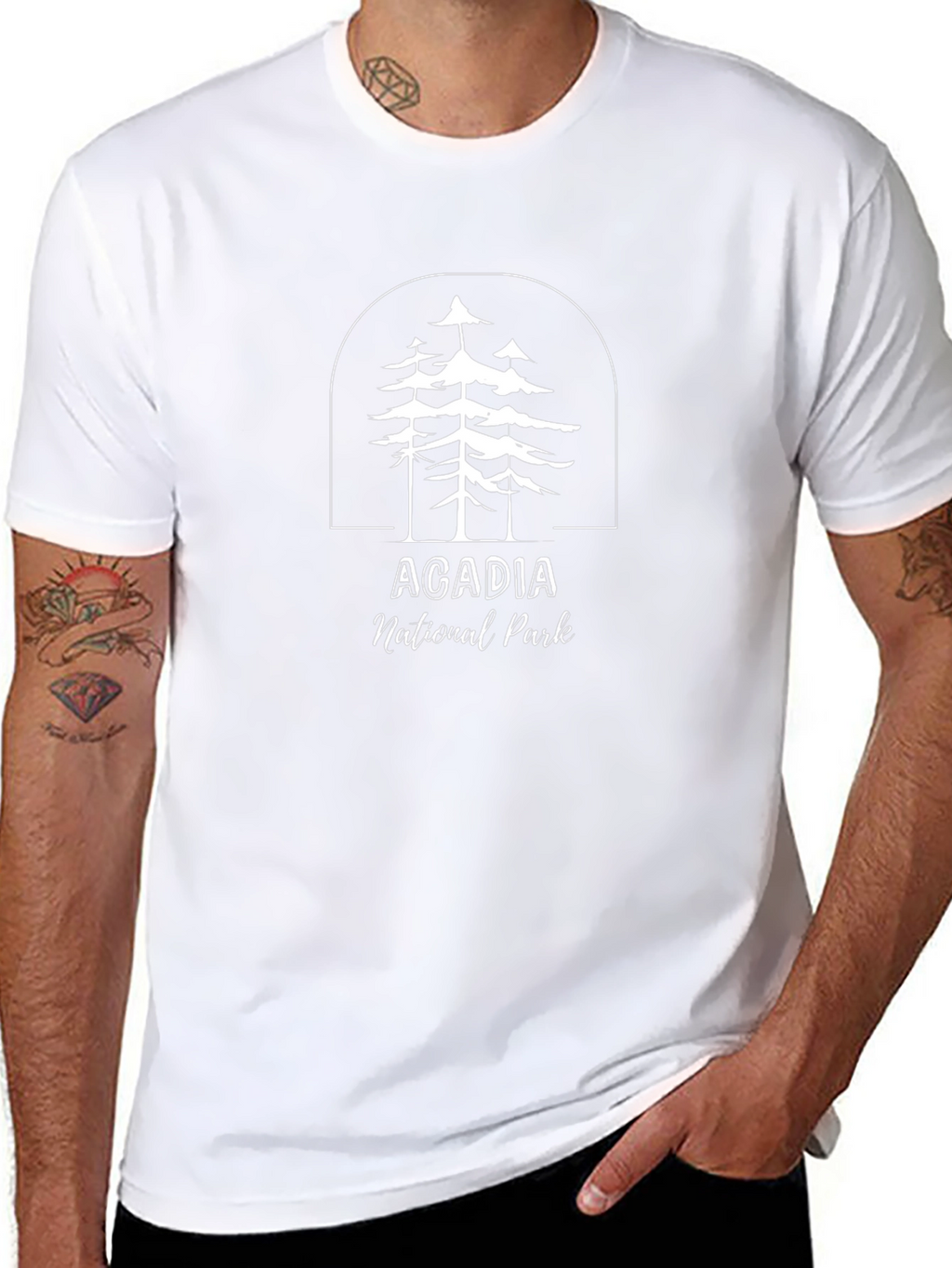 Acadia National Park Graphic T-Shirt
